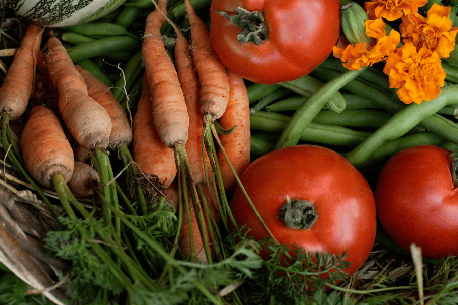 Fresh produce that was grown in a home garden