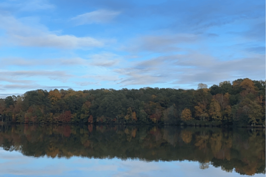 Fall foliage at Bass Lake Park in Holly Springs 
