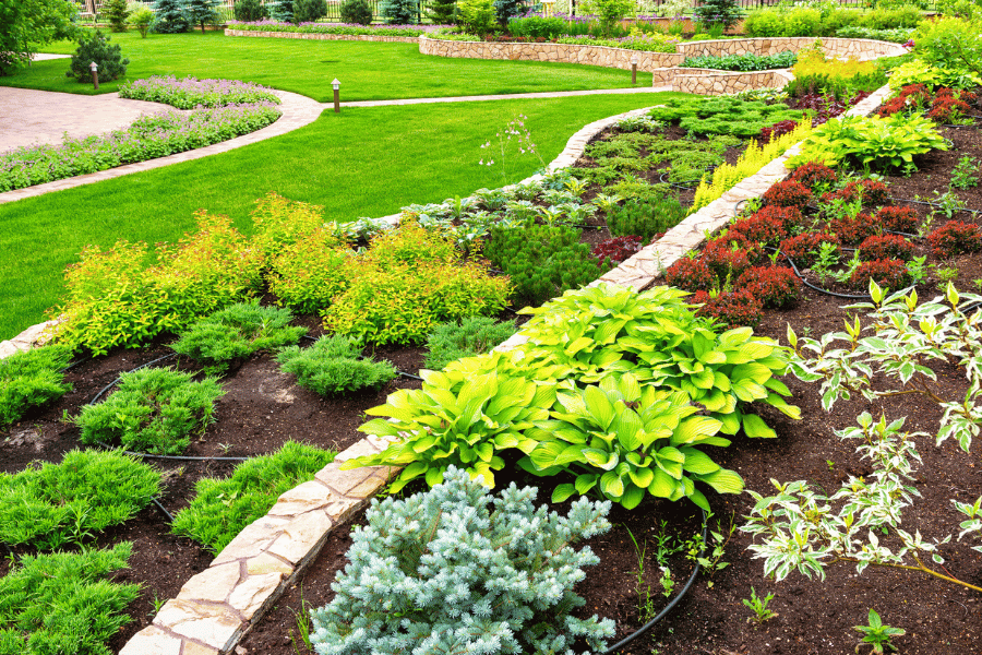 A clean lawn is a good lawn