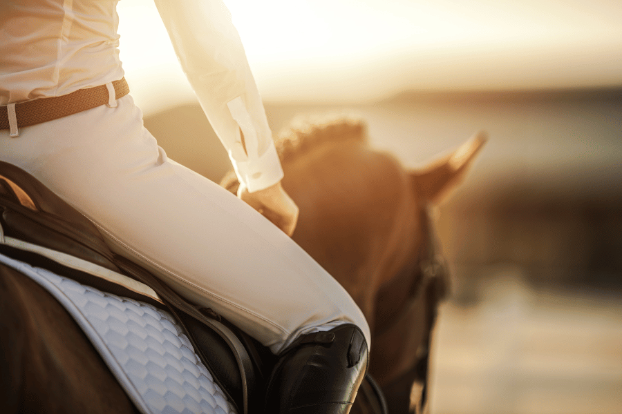 Equestrian on a horse sitting on a saddle