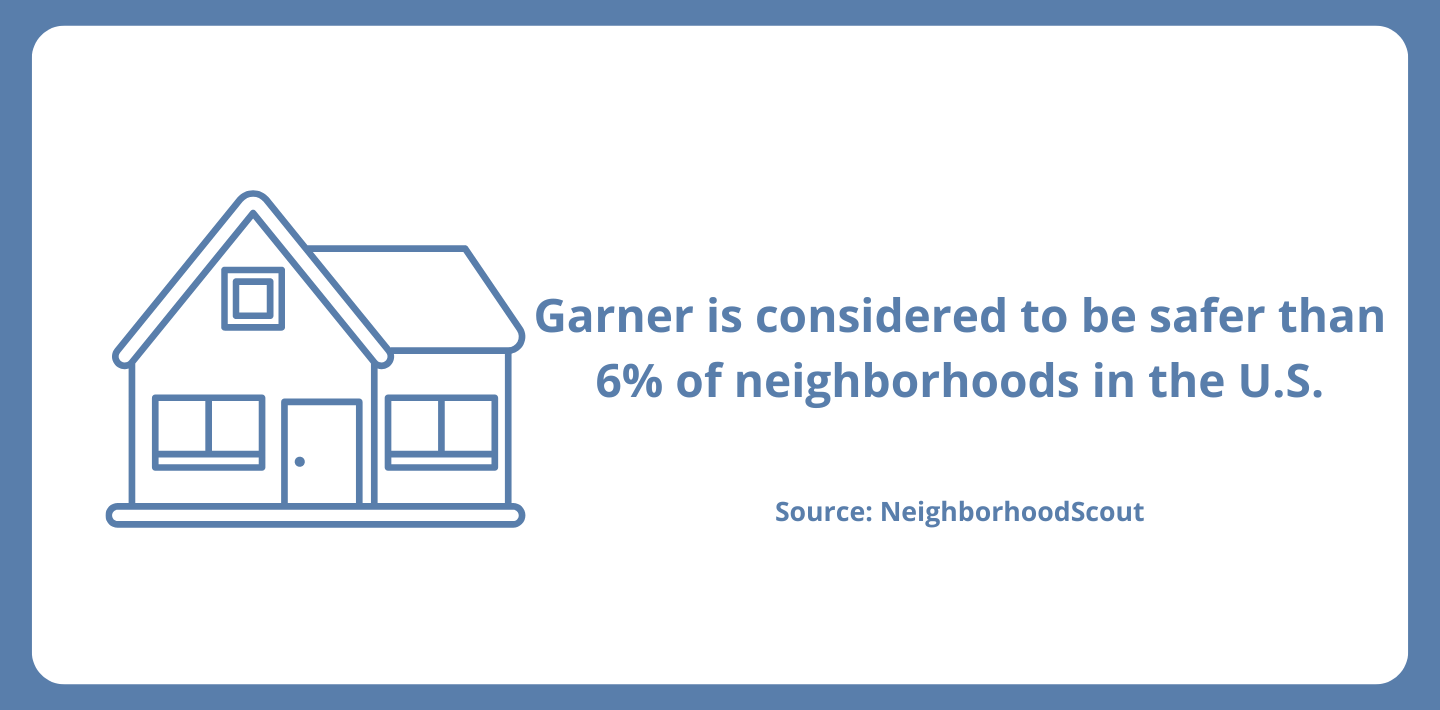 Garner Crime Data