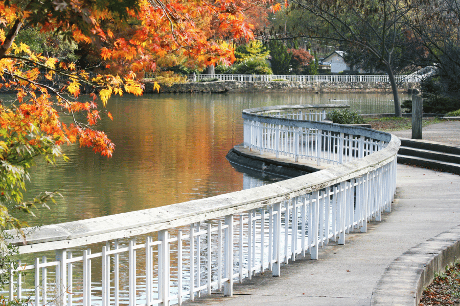 Fall in Raleigh with trees changing to orange in the park