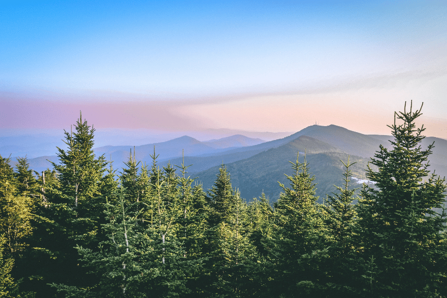 Move to the stunning beaches or mountains in NC