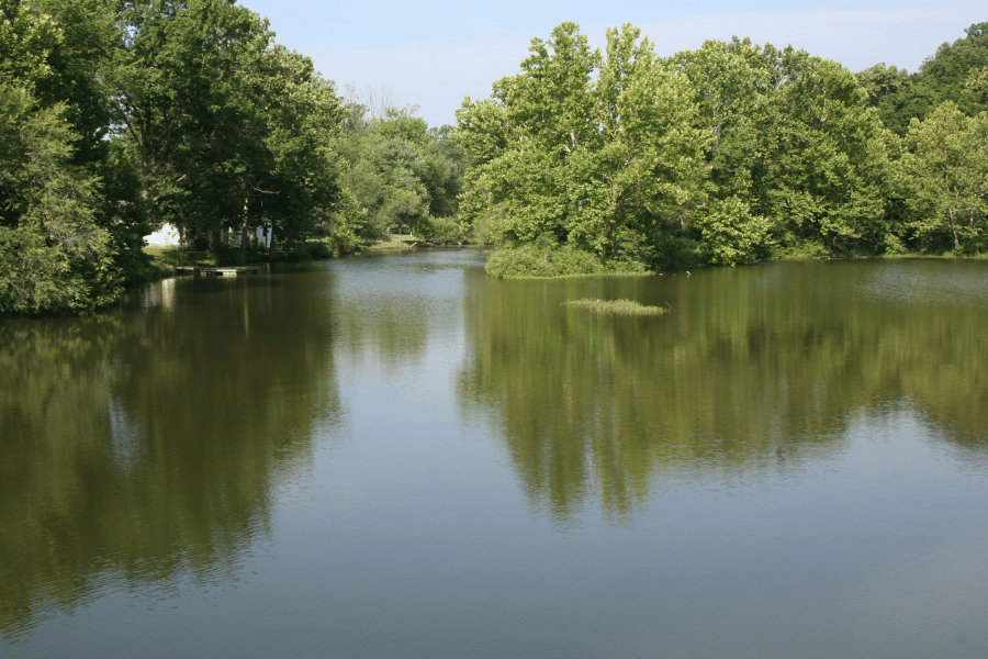 Protecting our waterways by greenways