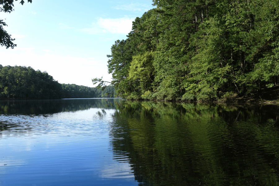 Lake view from the hiking trails with trees around