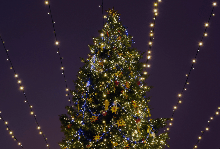 beautiful Christmas tree lighting during the holidays