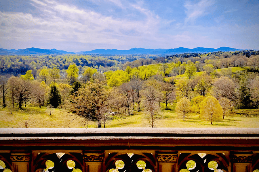 Visit the beautiful Biltmore Estate 