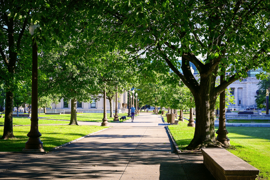 Pullen Park Raleigh NC Tree Lined Sidewalk Downtown Raleigh NC