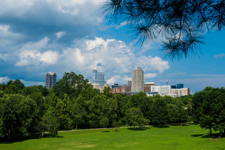 Beautiful city by Dorthea Dix Park
