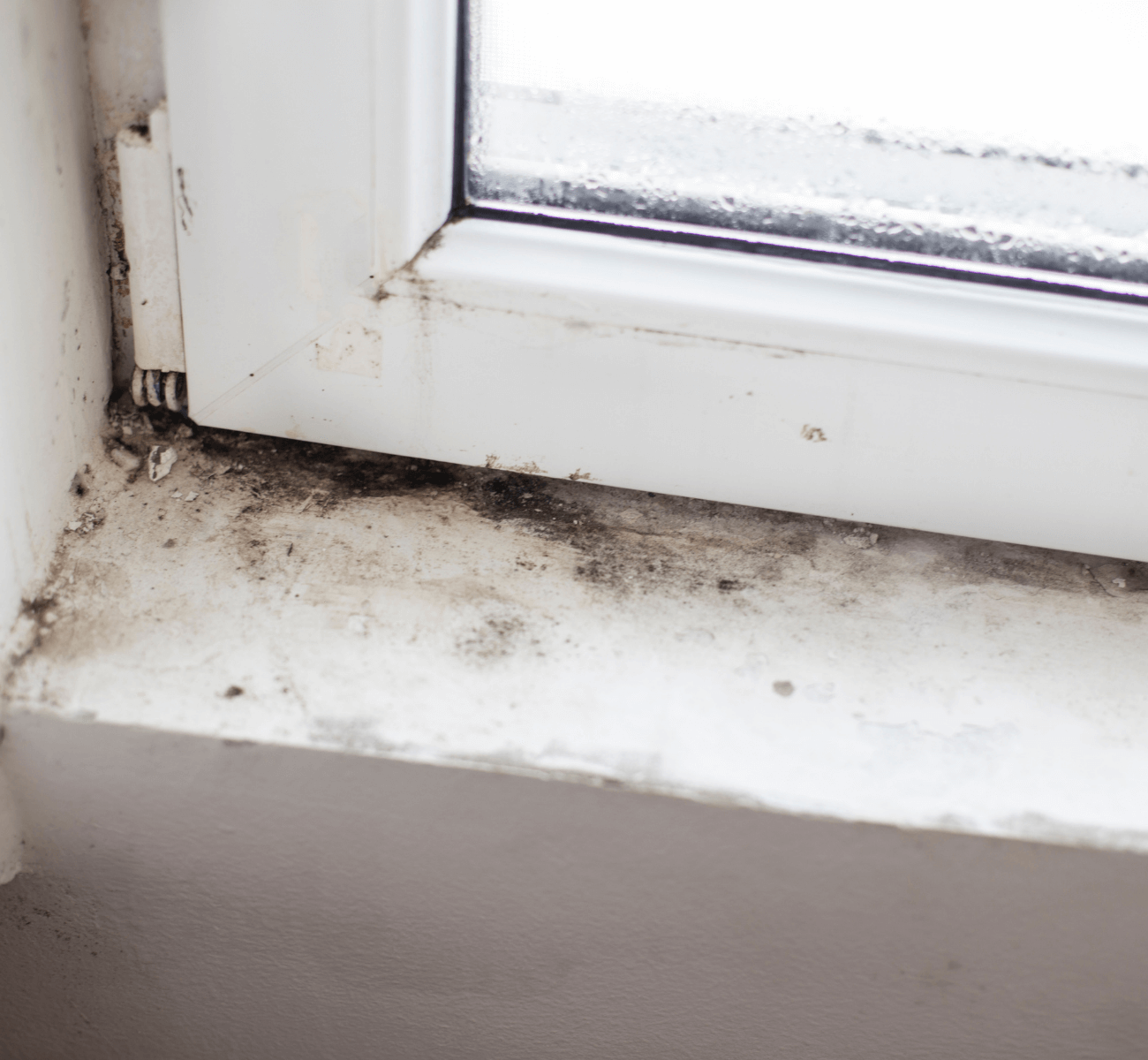 7 Ways to Get Rid of Mold in your Home