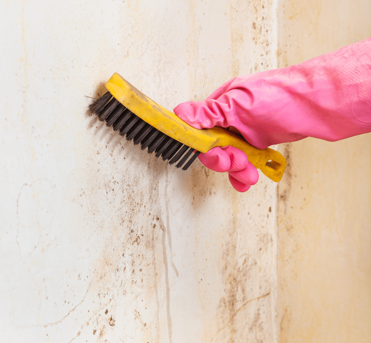 7 Ways to Get Rid of Mold in your Home